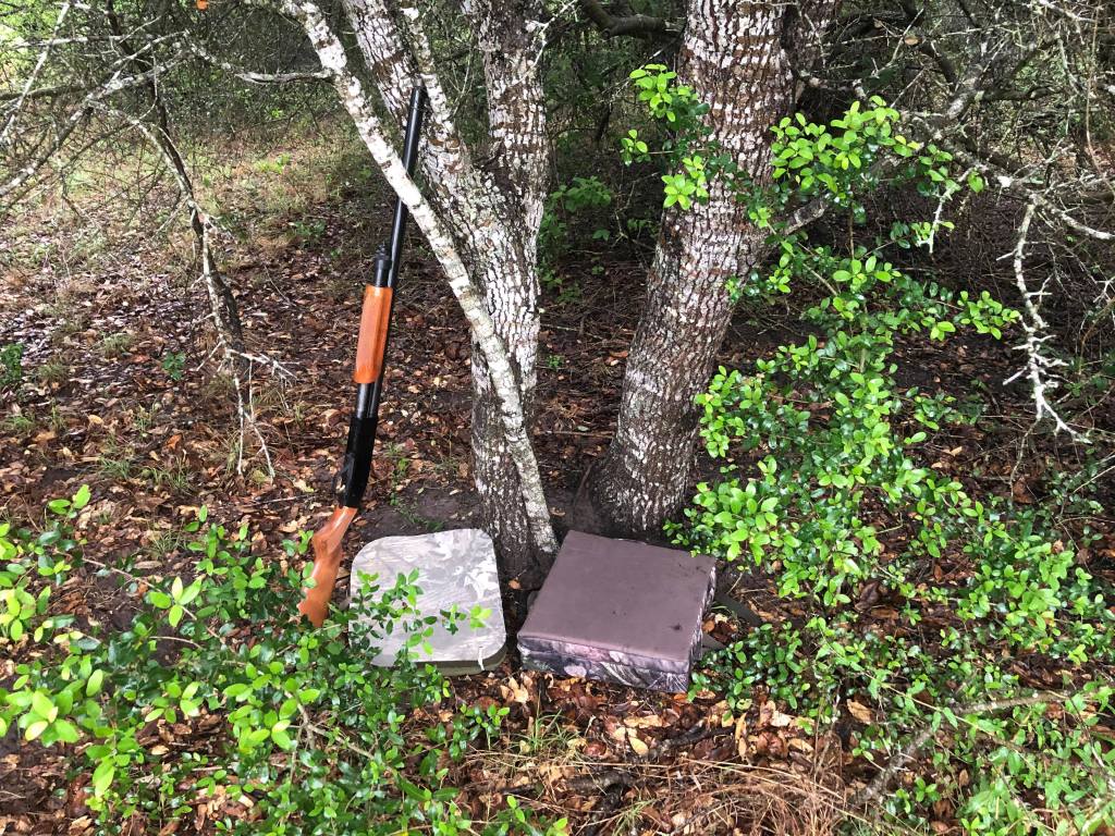 Shotgun, cushion, and turkey call arranged under a tree.