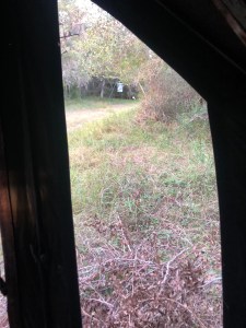 Looking out of the ground blind at the deer feeder with mesquite trees around us