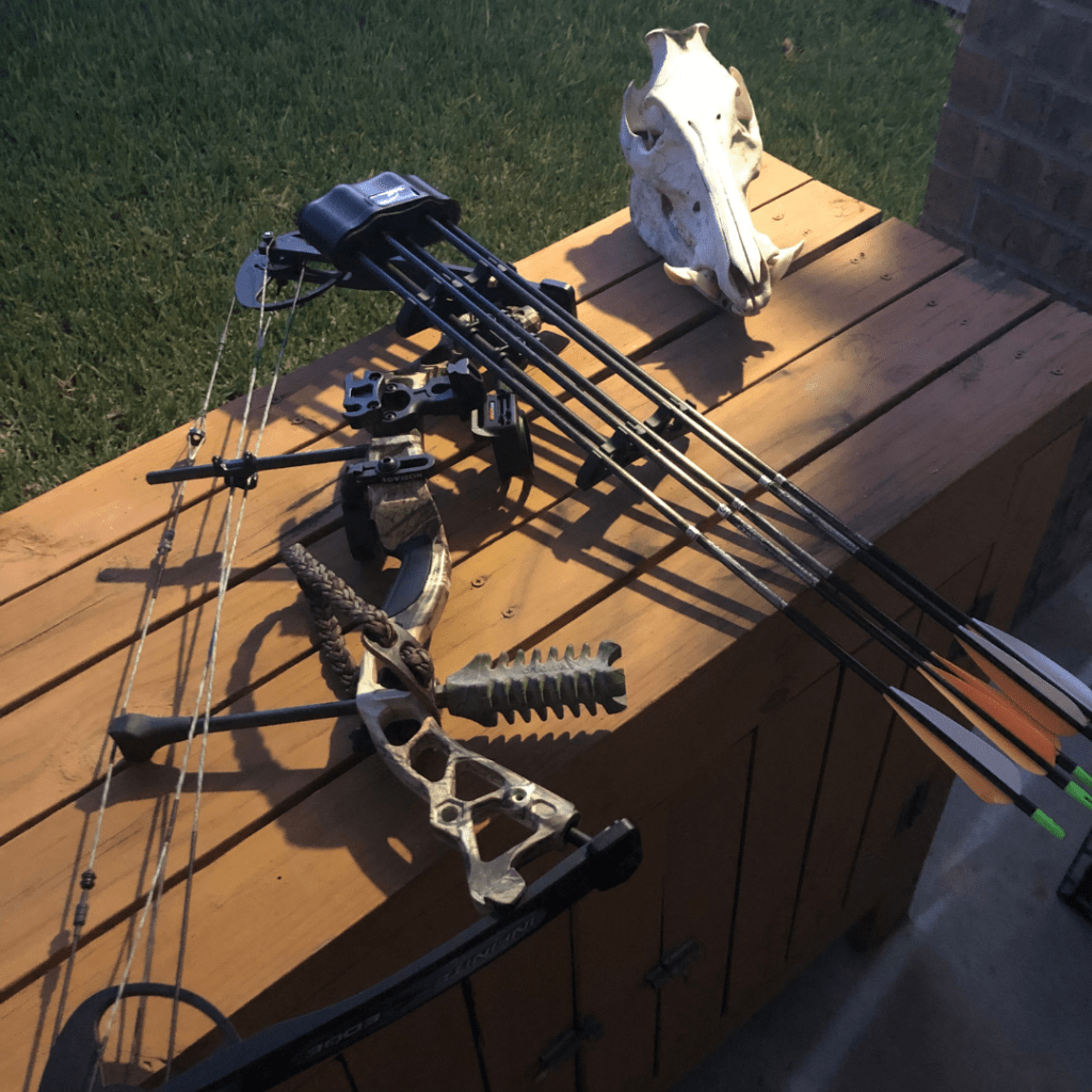 bow and arrows laying on a table with a pig skull