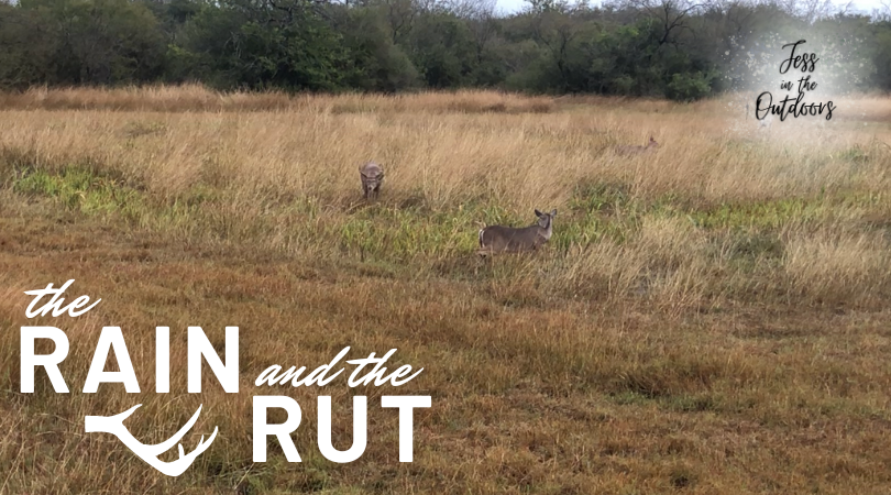 The Rain and the Rut – Jess and the Outdoors