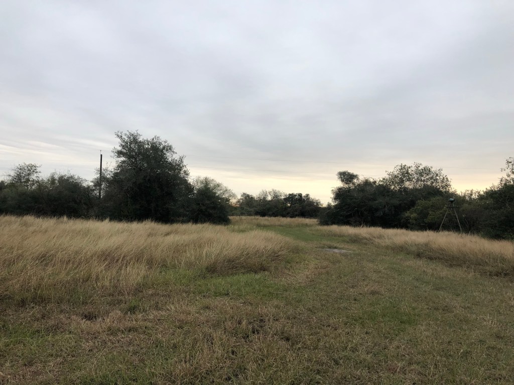 a field with trees in the background as the sun is coming up
