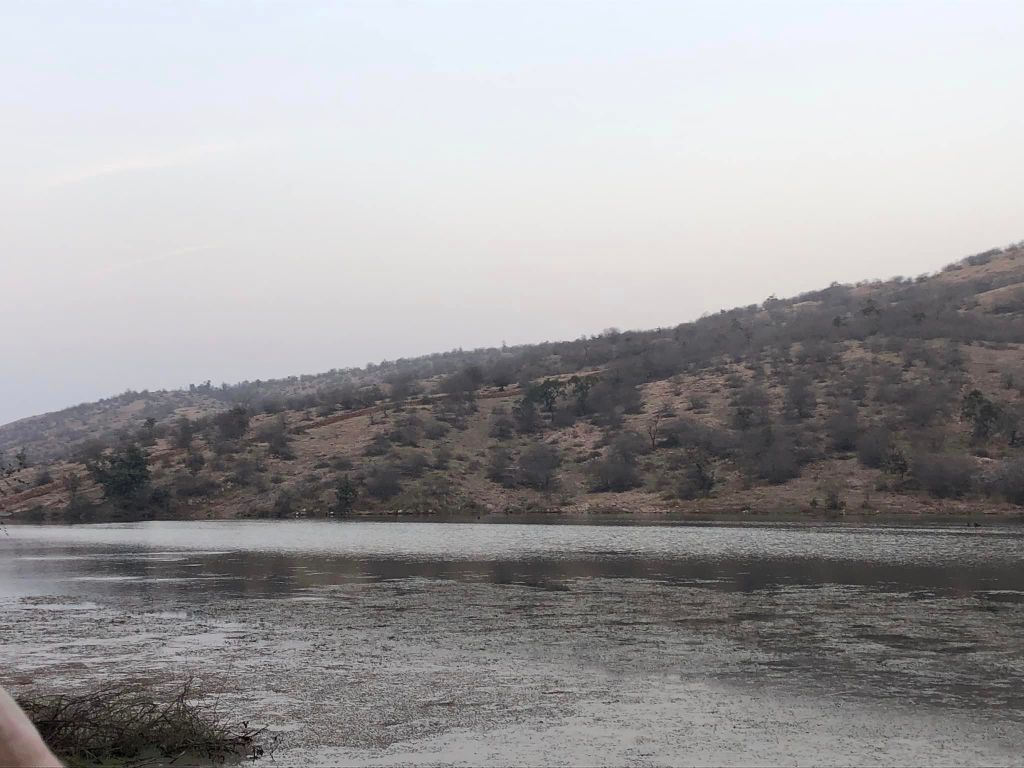 river with a small mountain behind it