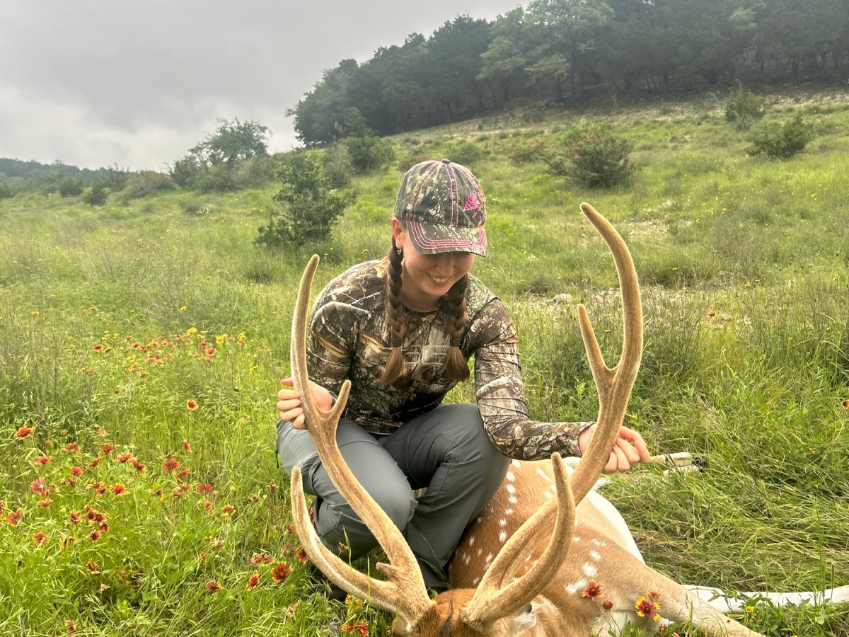 Among the Exotics: Final&nbsp;Thoughts